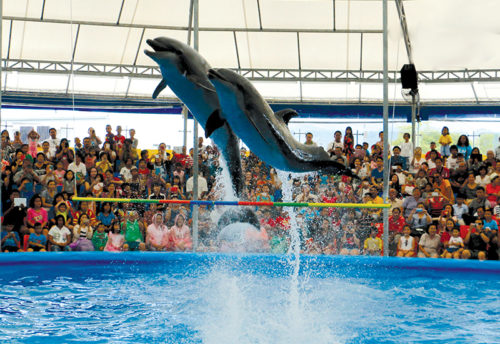 Dolphinarium de Dubaï