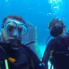 Scuba Diving